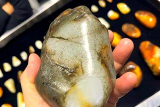 和田玉皮色料的魅力与选择指南:红黄黑皮深度解析